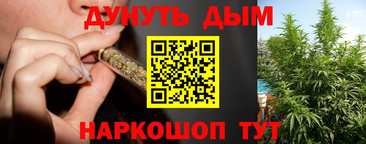 Бошки Шишки семена Барнаул